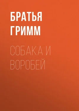 Якоб и Вильгельм Гримм Собака и воробей обложка книги