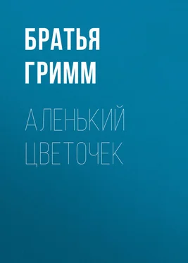 Якоб и Вильгельм Гримм Аленький цветочек обложка книги