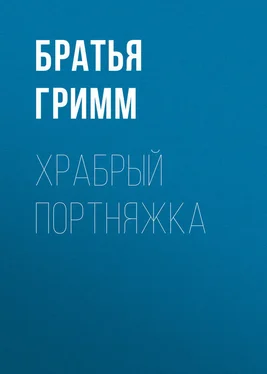 Якоб и Вильгельм Гримм Храбрый портняжка обложка книги