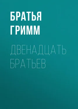 Якоб и Вильгельм Гримм Двенадцать братьев обложка книги