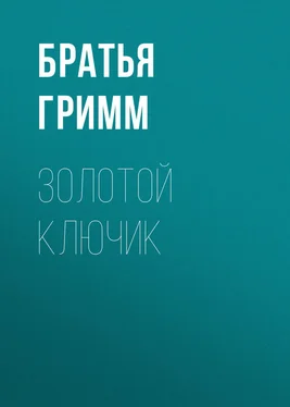 Якоб и Вильгельм Гримм Золотой ключик обложка книги