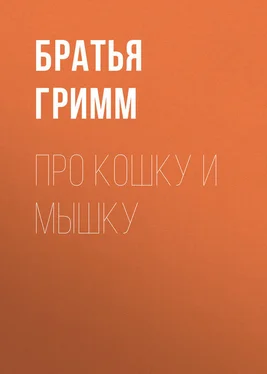 Якоб и Вильгельм Гримм Про кошку и мышку обложка книги