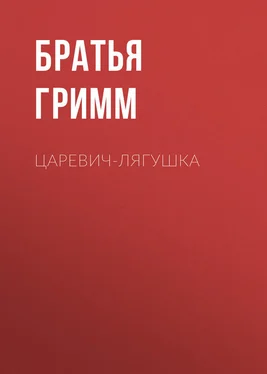 Якоб и Вильгельм Гримм Царевич-Лягушка обложка книги