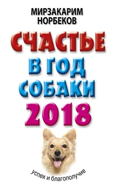 Мирзакарим Норбеков Счастье в год Собаки. Успех и благополучие в 2018 году обложка книги