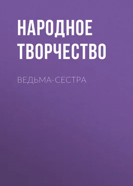 Народное творчество (Фольклор) Ведьма-сестра обложка книги