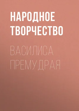 Народное творчество (Фольклор) Василиса Премудрая обложка книги