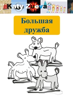 Екатерина Зуева Большая дружба обложка книги