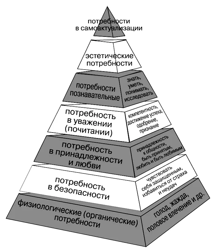 Всем известна классификация американского психолога Абрахама Маслоу пирамида - фото 1