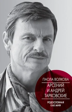 Паола Волкова Арсений и Андрей Тарковские. Родословная как миф обложка книги