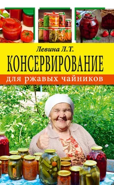 Любовь Левина Консервирование для ржавых чайников обложка книги