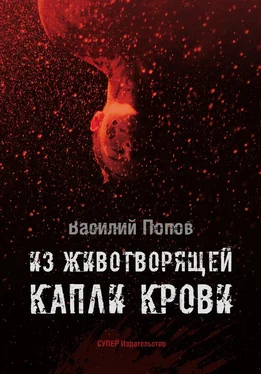 Василий Попов Из животворящей капли крови обложка книги