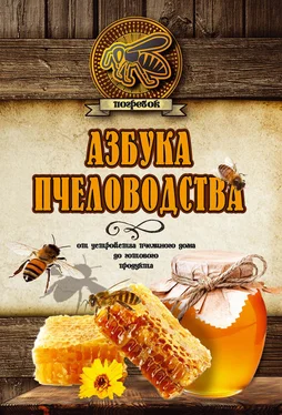 Николай Волковский Азбука пчеловодства. От устройства пчелиного дома до готового продукта обложка книги