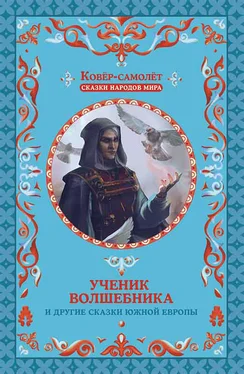 Array Народное творчество (Фольклор) Ученик волшебника и другие сказки Южной Европы обложка книги