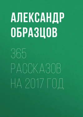 Александр Образцов 365 рассказов на 2007 год обложка книги