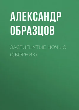 Александр Образцов Застигнутые ночью (сборник) обложка книги