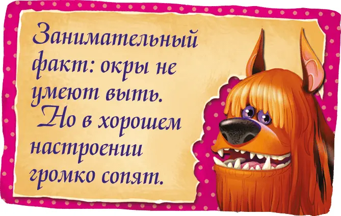 У него в руке вдруг появилась книга в бирюзовой обложке с золотыми уголками и - фото 17