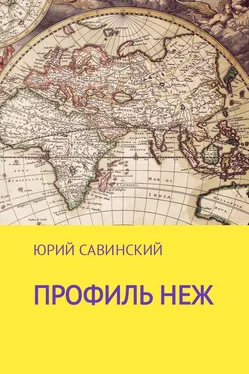 Юрий Савинский Профиль НЕЖ обложка книги