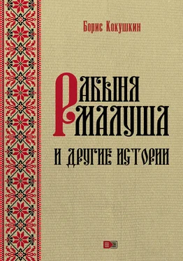 Борис Кокушкин Рабыня Малуша и другие истории обложка книги