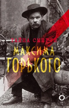 Сборник Тайна смерти Горького: документы, факты, версии обложка книги