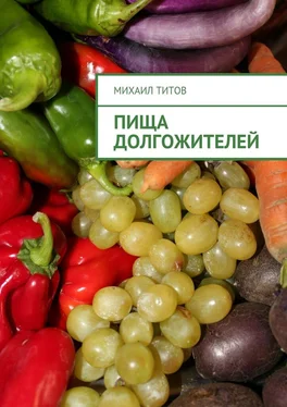 Михаил Титов Пища долгожителей обложка книги