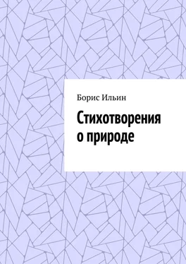 Борис Ильин Стихотворения о природе обложка книги