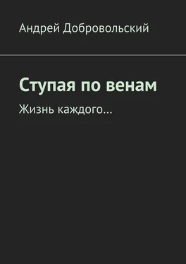 Андрей Добровольский Ступая по венам. Жизнь каждого… обложка книги