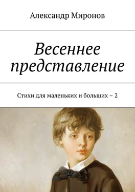 Александр Миронов Весеннее представление. Стихи для маленьких и больших – 2 обложка книги