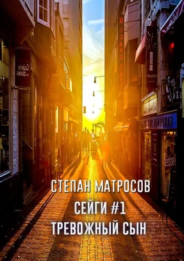 Степан Матросов Сейги #1. Тревожный сын обложка книги