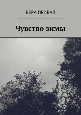 Вера Привал Чувство зимы обложка книги