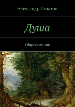 Александр Игнатов Душа. Сборник стихов обложка книги