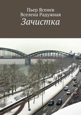 Пьер Ясенев Зачистка обложка книги