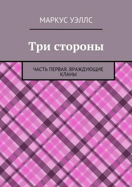 Маркус Уэллс Три стороны. Часть первая. Враждующие кланы обложка книги