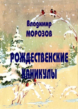 Владимир Морозов Рождественские каникулы обложка книги