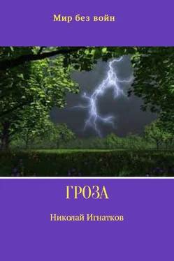 Николай Игнатков Гроза обложка книги