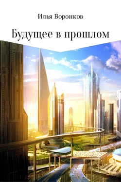 Илья Воронков Будущее в прошлом обложка книги