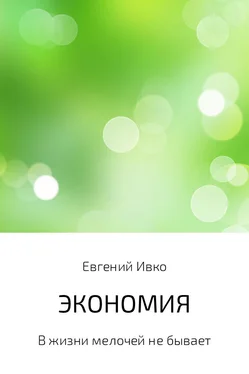 Евгений Ивко Экономия обложка книги