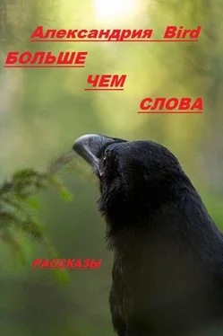 Александрия Bird Больше чем слова обложка книги