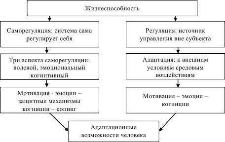 Рис 2Соотнесение понятий жизнеспособность психическая регуляция и - фото 4