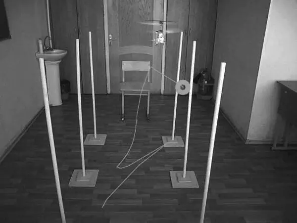 Рис 8Следящие движения Более того чем больше следящих движений вплоть до - фото 34