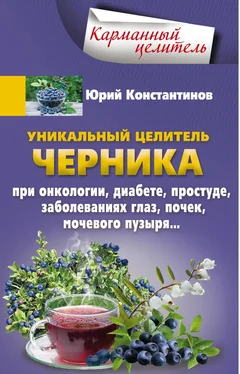 Юрий Константинов Уникальный целитель черника. При онкологии, диабете, простуде, заболеваниях глаз, почек, мочевого пузыря… обложка книги