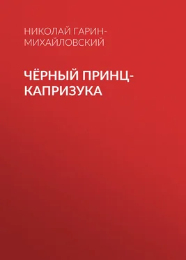 Николай Гарин-Михайловский Чёрный принц-капризука обложка книги