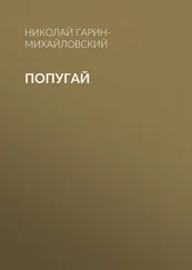 Николай Гарин-Михайловский - Попугай