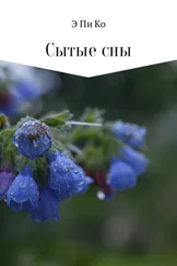 Э Пи Ко - Сытые сны