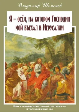 Владимир Шеменев Я ─ осёл, на котором Господин мой въехал в Иерусалим обложка книги