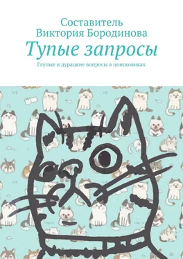 Виктория Бородинова Тупые запросы. Глупые и дурацкие вопросы в поисковиках обложка книги