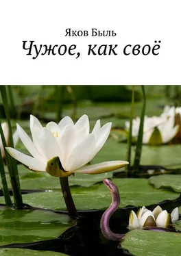 Яков Быль Чужое, как своё обложка книги