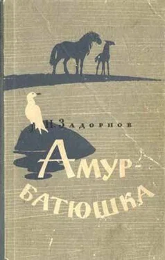 Николай Задорнов Амур-батюшка обложка книги