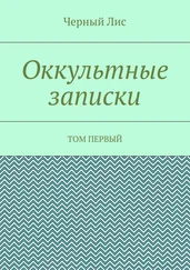Черный Лис - Оккультные записки. Том первый