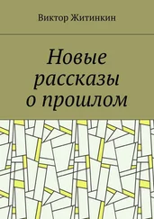 Виктор Житинкин - Новые рассказы о прошлом