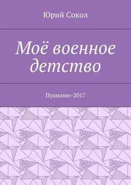 Юрий Сокол Моё военное детство. Пушкино-2017 обложка книги